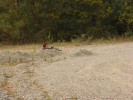 AG_MPM (104).JPG